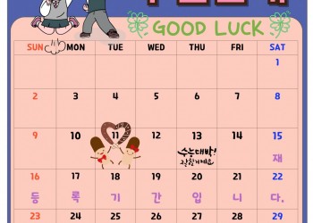 11월 수업일정 안내